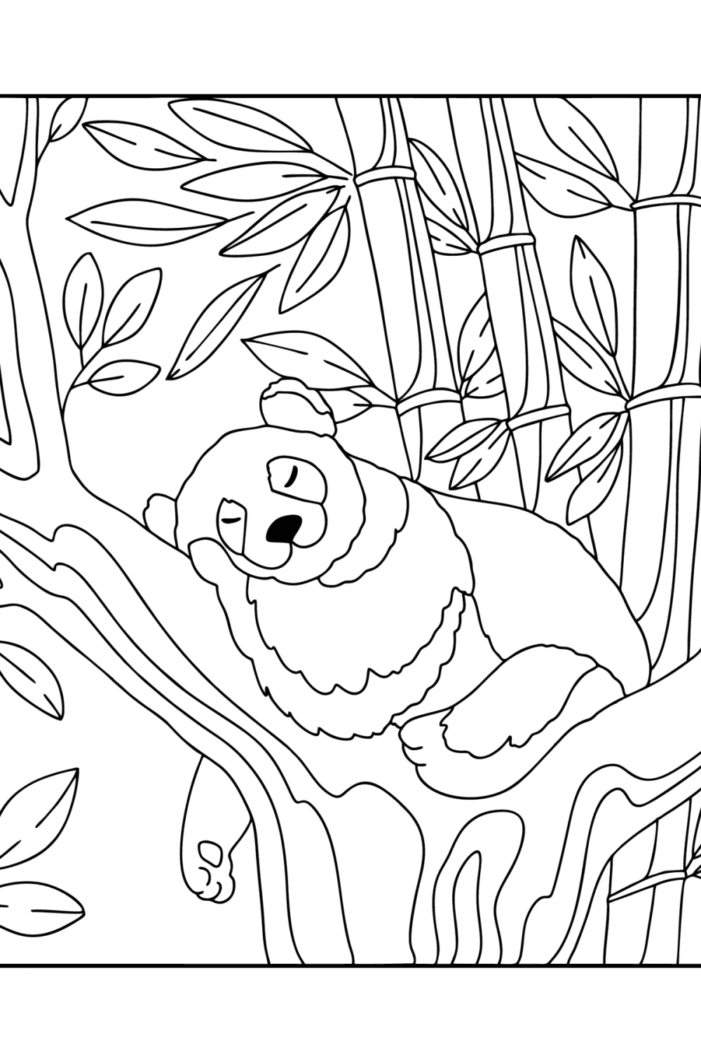 Pandas coloring pages for Adults - Online or Printable