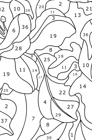 Persimmon fruits - Persimmons coloring pages for Adults online