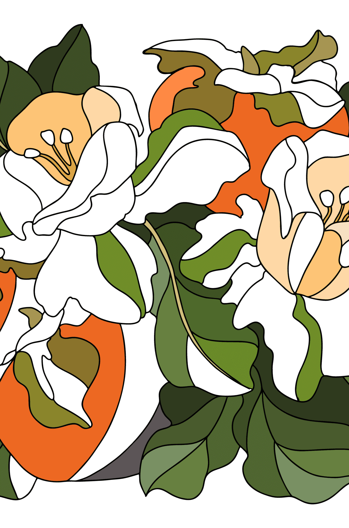 Persimmon fruits coloring page - Coloring Pages for Adults