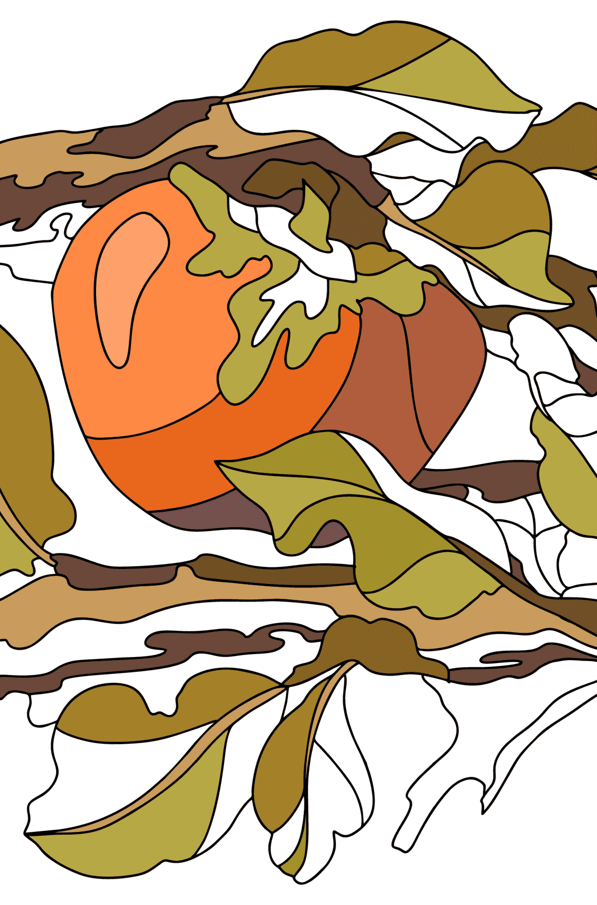 Tegning til fargelegging Persimmon på en gren - farge bok for voksne