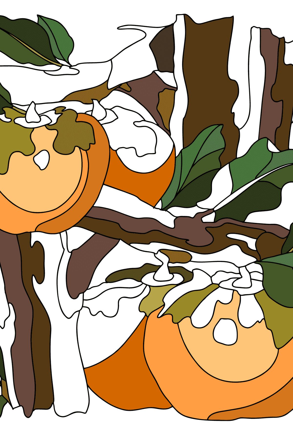 Tegninger til fargelegging Persimmon for voksne