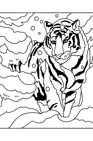Amur tiger - Tigers coloring pages for Adults online and printable
