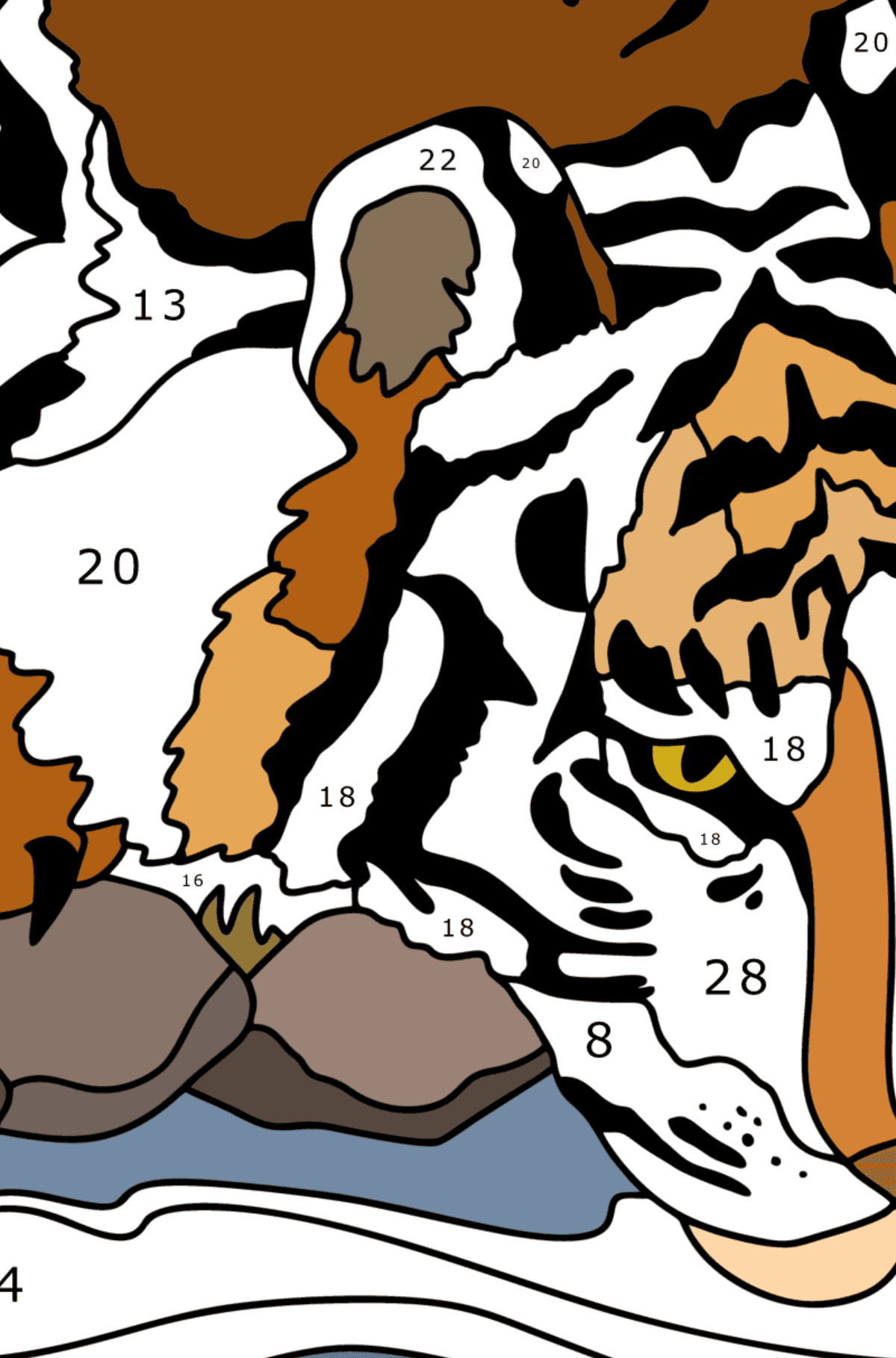 Omalovánka Tygr v přírodě - hrát podle čísel pro dospělé