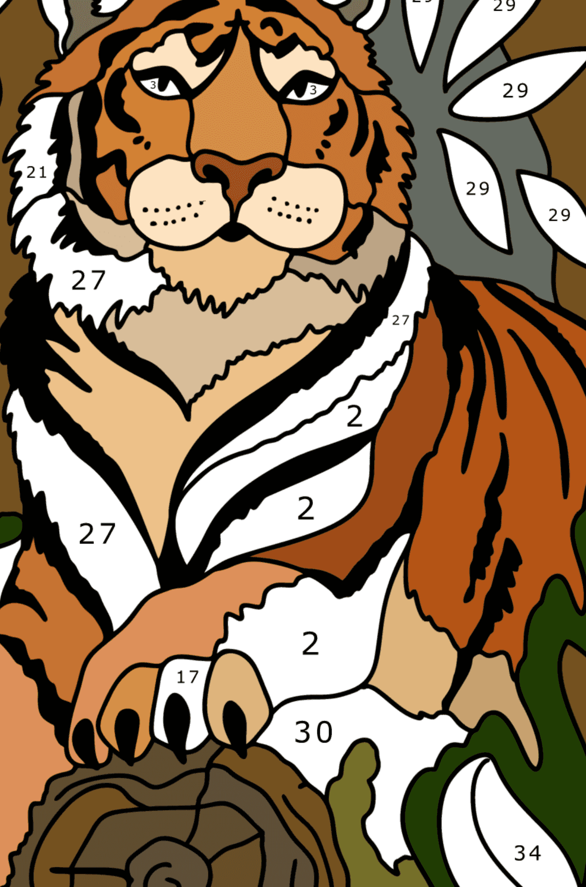 Omalovánka Tygr a džungle - hrát podle čísel pro dospělé