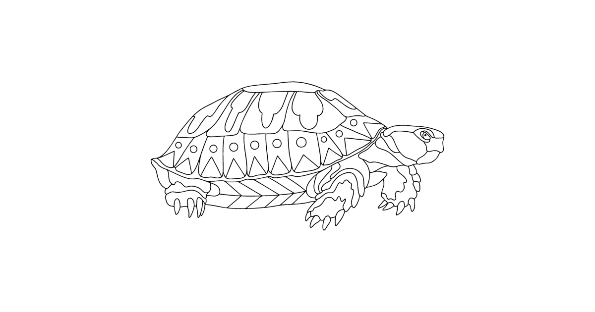 Giant tortoise - Turtles coloring pages for Adults online