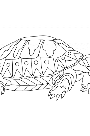 Turtles coloring pages for Adults - Online or Printable