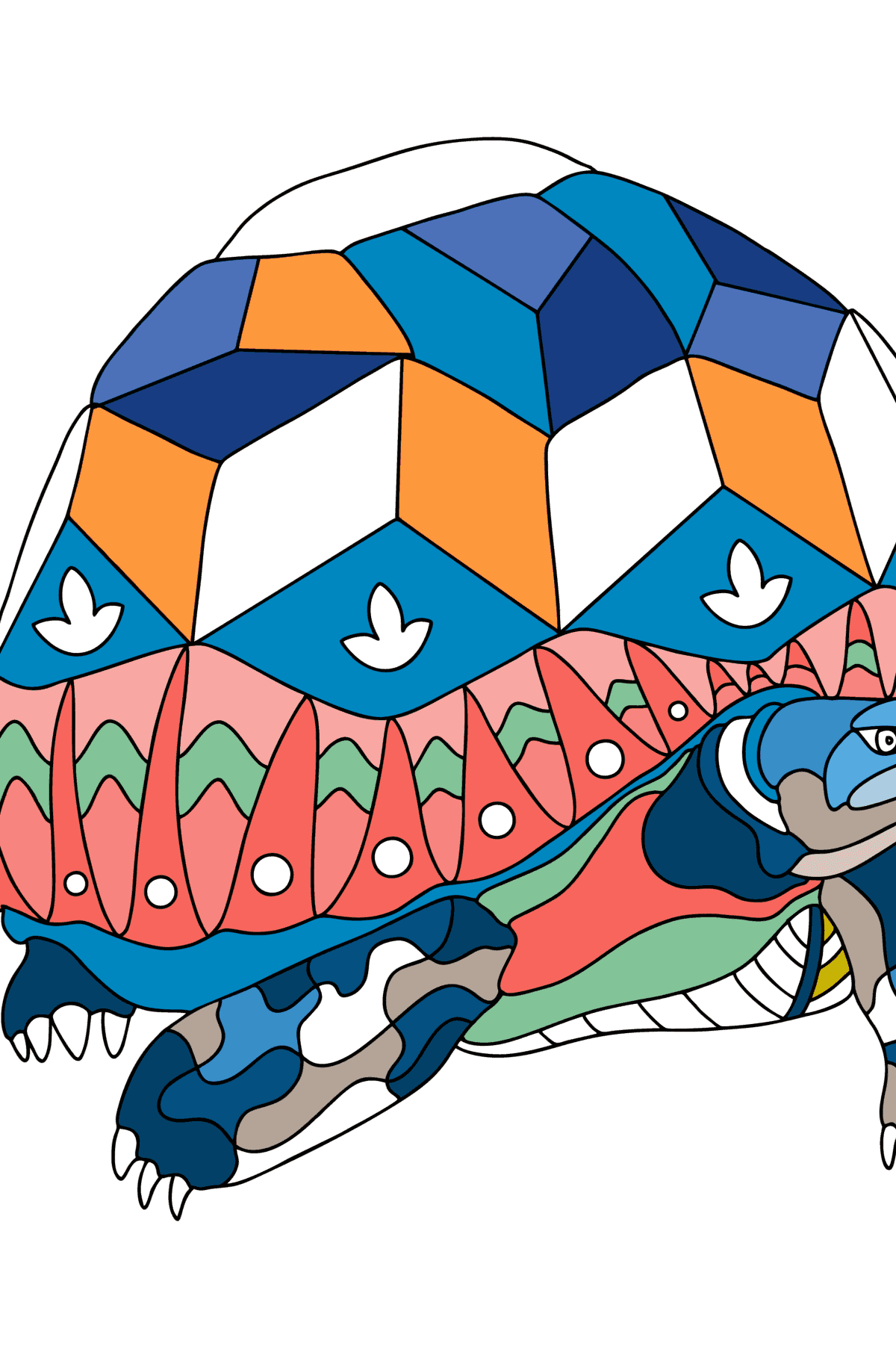 Dibujo Hermosa tortuga para colorear - Dibujos para Colorear para Adultos