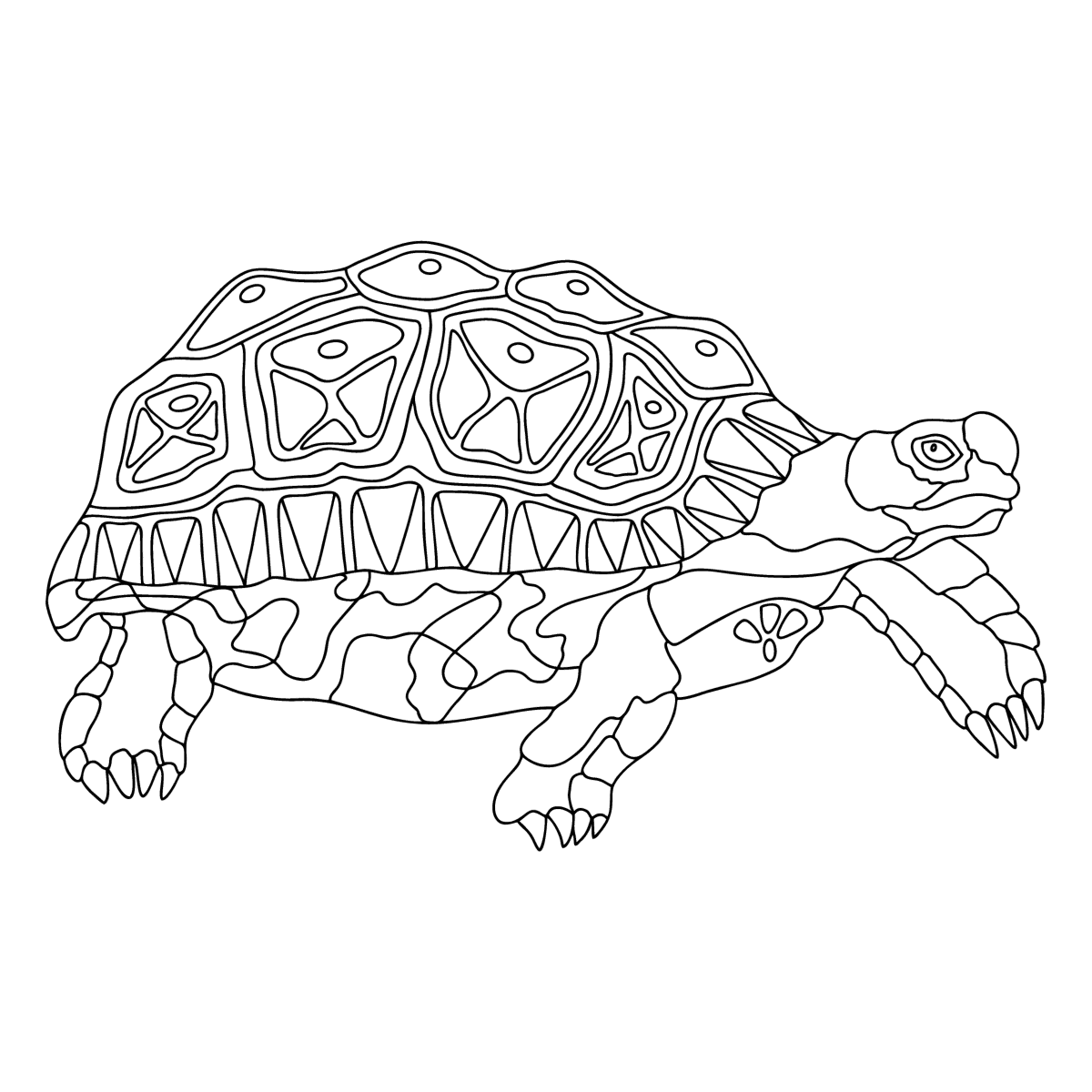 Turtle Art therapy - Turtles coloring pages for Adults online