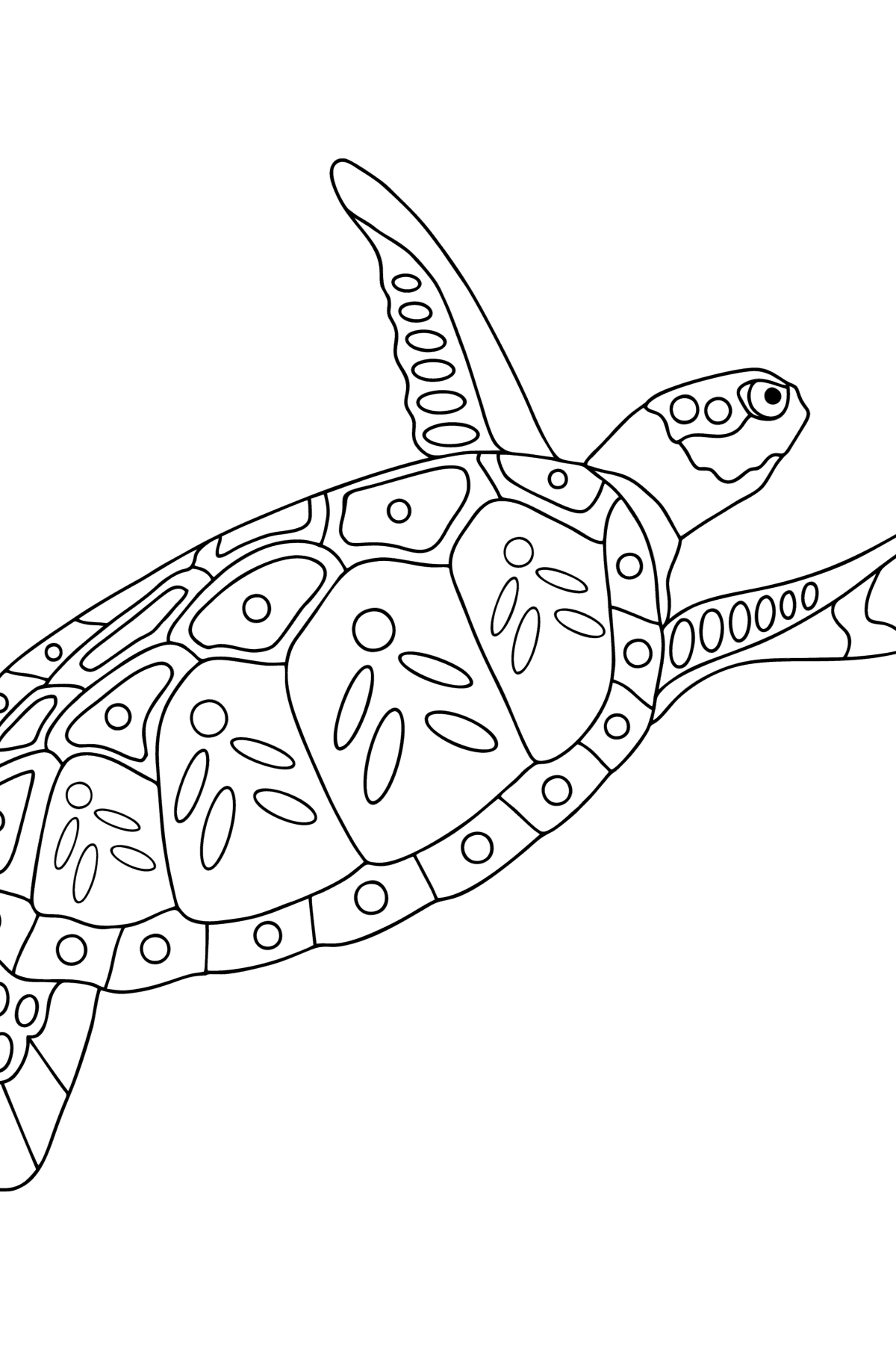 Dibujos Tortugas para colorear - Tortuga marina verde