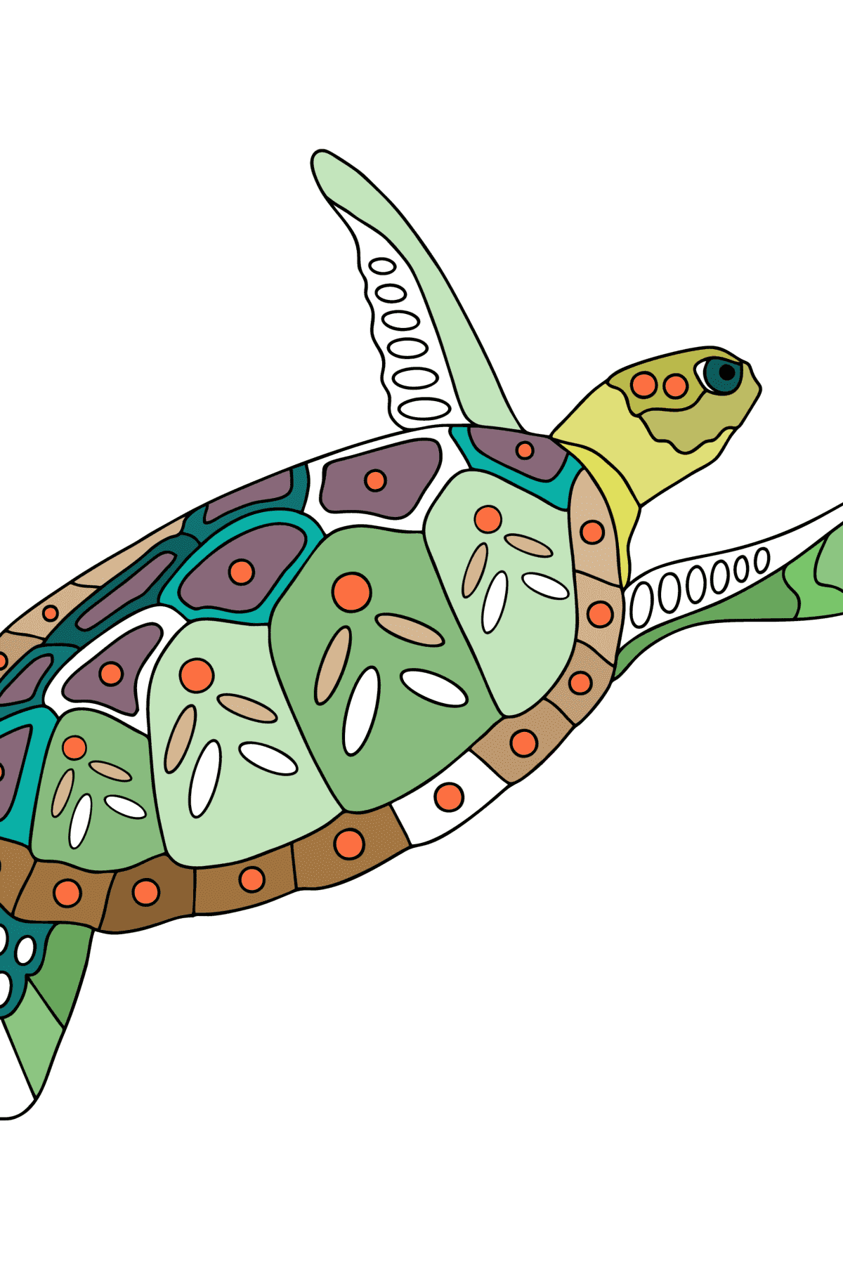 Dibujo Tortuga marina verde para colorear - Dibujos para Colorear para Adultos