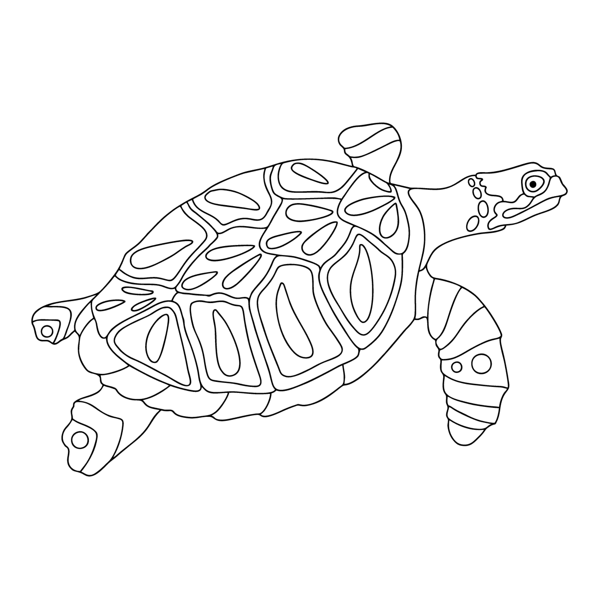 Раскраска антистресс черепаха