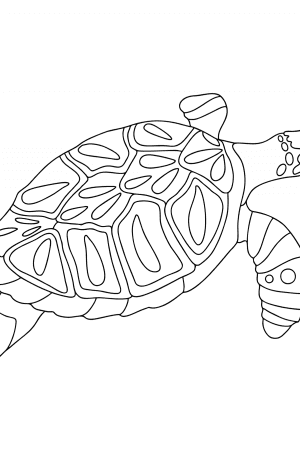 Turtles coloring pages for Adults - Online or Printable