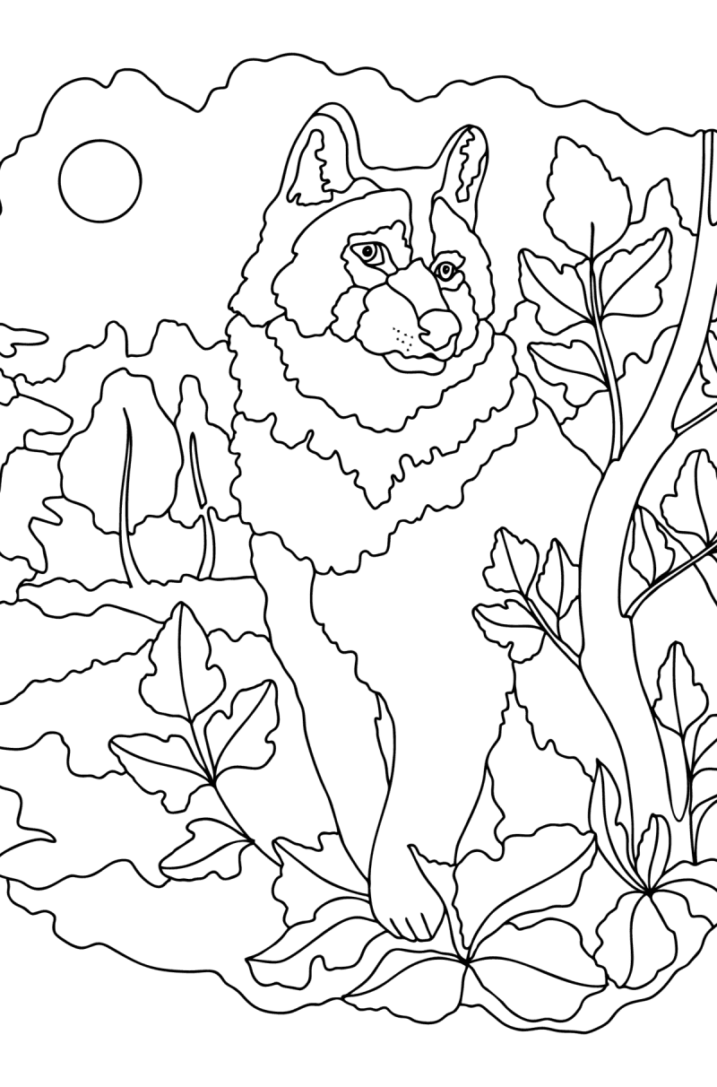 Adults Coloring Pages ♥ Get filled with positive emotions!