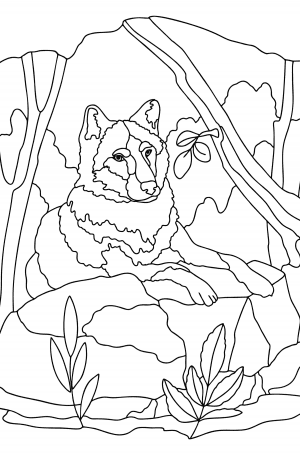 Wolves coloring pages for Adults - Online or Printable